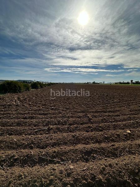 Foto cb28708a-1ffe-4f71-9360-98bf9e764d11. Finca rústica gran terreno rustico en El Palmar en Vejer de la Frontera