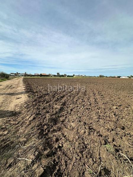 Foto d1cba5a2-0b7f-4691-b0a8-f25346c3e320. Finca rústica gran terreno rustico en El Palmar en Vejer de la Frontera