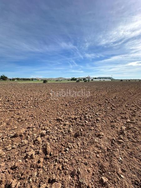 Foto e648ab51-1a24-4018-8a99-0f99b2ee36b0. Finca rústica gran terreno rustico en El Palmar en Vejer de la Frontera