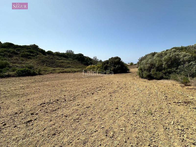 Foto 7a0c465a-4e87-4e0d-85a8-aae3dc5e7d8c. Fondo rustico in Conil Conil de la Frontera