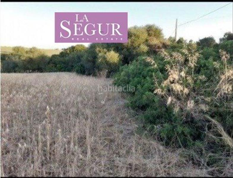 Foto 7fe29e0d-d8fc-4149-99e4-d0c02ffef650. Fondo rustico in Conil Conil de la Frontera