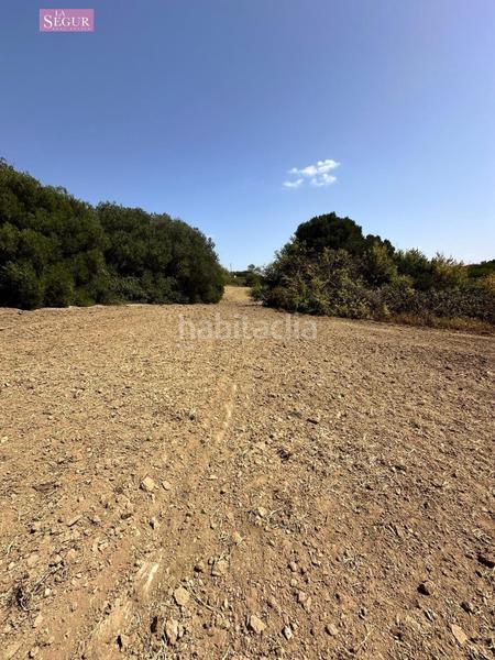 Foto a0a0f116-1634-4ff2-b7b2-1eaae684777d. Fondo rustico in Conil Conil de la Frontera