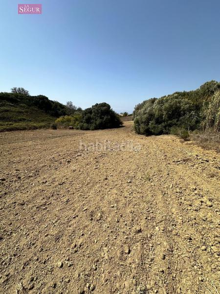 Foto d425c425-f0cb-4524-95ff-399f2d04e91d. Fondo rustico in Conil Conil de la Frontera