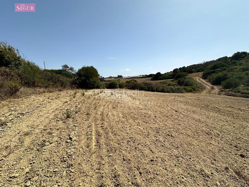 Foto edf824d0-98f5-4f61-a52e-9d445af767a2. Fondo rustico in Conil Conil de la Frontera
