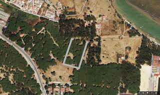 Terreny residencial a Barbate. Terreno rustico en la zona de pozo montano en barbate a 50 el me