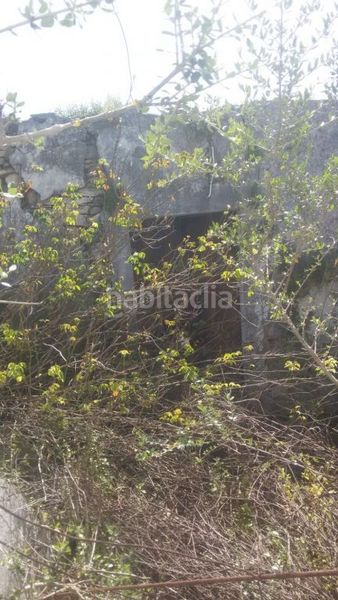 Foto f41a72b8-a74d-4be4-97bd-d244f0465d7c. Masia a El Palmar Vejer de la Frontera