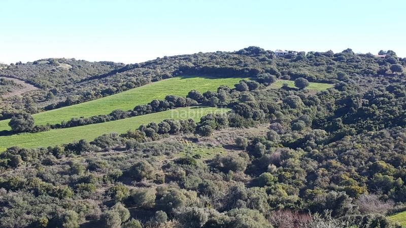 Foto 56b21ad4-d78c-445f-8b09-d161b3da4628. Propriété dans Vejer Vejer de la Frontera