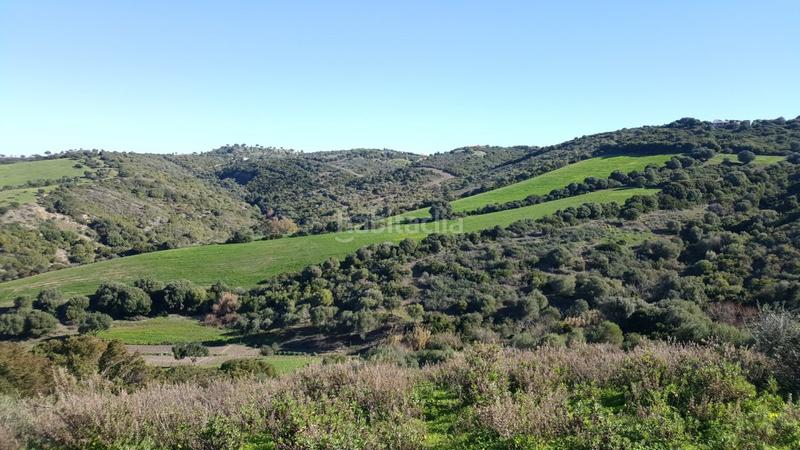 Foto 71800451-134e-419f-a268-680866004b6a. Propriété dans Vejer Vejer de la Frontera