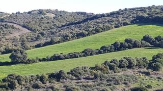 Finca rústica a Vejer. Parcela rústica en patria