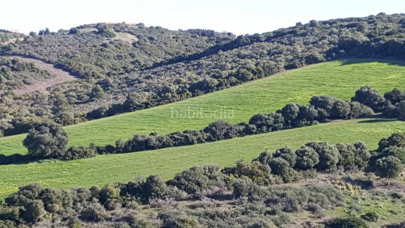 Foto 80e6fbcc-5342-44c4-8995-ac667a9373e5. Propriété dans Vejer Vejer de la Frontera