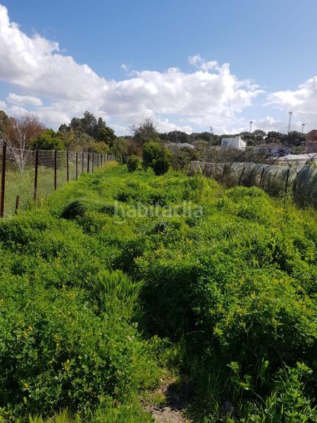 Foto a266dbb8-30fa-4848-b382-b71d9d3fed5f. Finca rústica terreno rústico con casa zona el soto. en Barbate