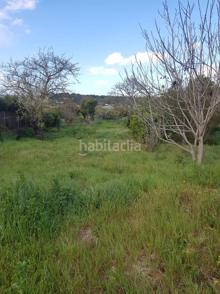 Foto bc1e7ebf-3346-49af-9553-3b1811d163dc. Finca rústica terreno rústico con casa zona el soto. en Barbate