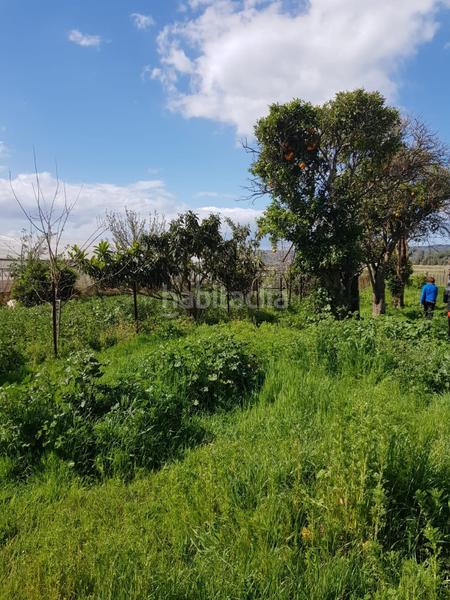 Foto ec553ab2-fc85-4c69-9194-9e5d799e6917. Finca rústica terreno rústico con casa zona el soto. en Barbate