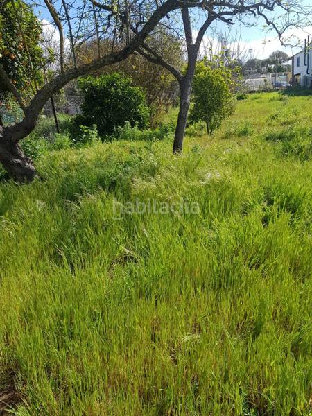 Foto f2c830af-d066-4e4d-b890-3082e678d9c3. Finca rústica terreno rústico con casa zona el soto. en Barbate