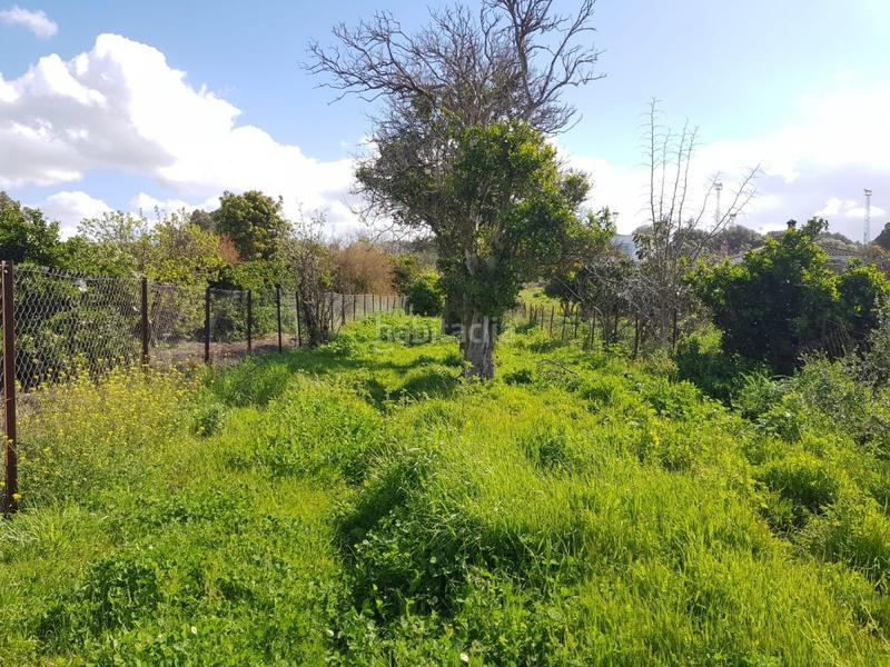 Foto f3c1da2b-60fa-4ea4-8e31-a686664a7130. Finca rústica terreno rústico con casa zona el soto. en Barbate