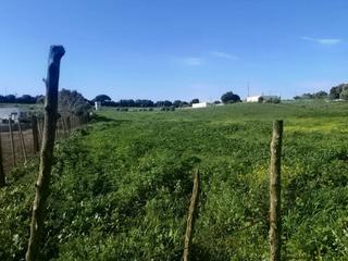 Finca rústica a La Muela. Parcelarústica  6300 metros frente a venta 3 carriles en la muel