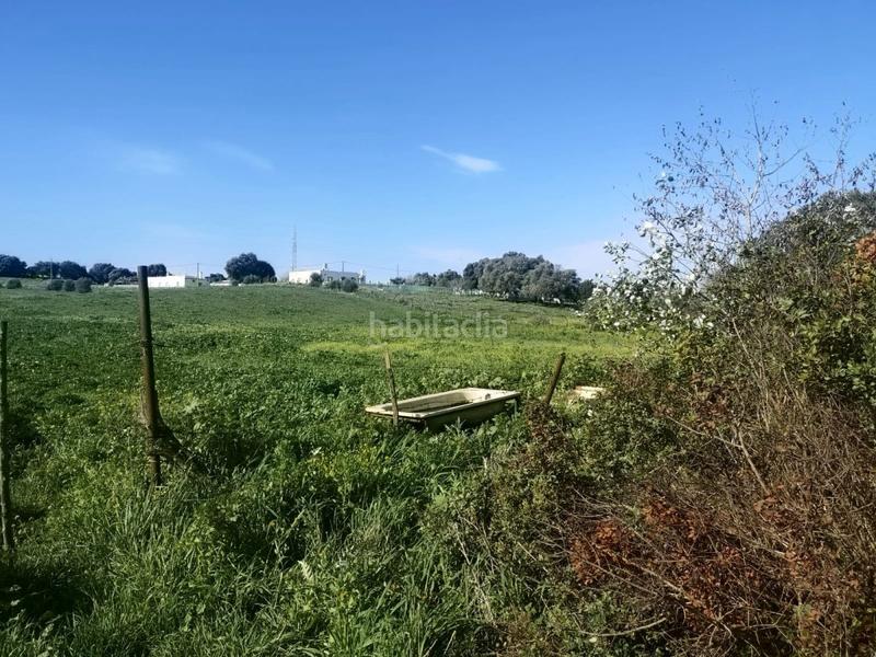 Foto d400e423-b971-4a16-a1c2-d882d5d24451. Finca rústica a La Muela Vejer de la Frontera