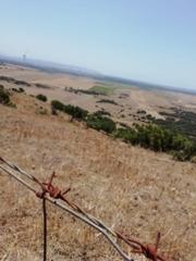 Mas à Medina - Sidonia. Finca rústica 8 has. en vejer.