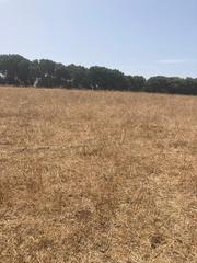Masia a Barbate. Terreno rustico en barbate