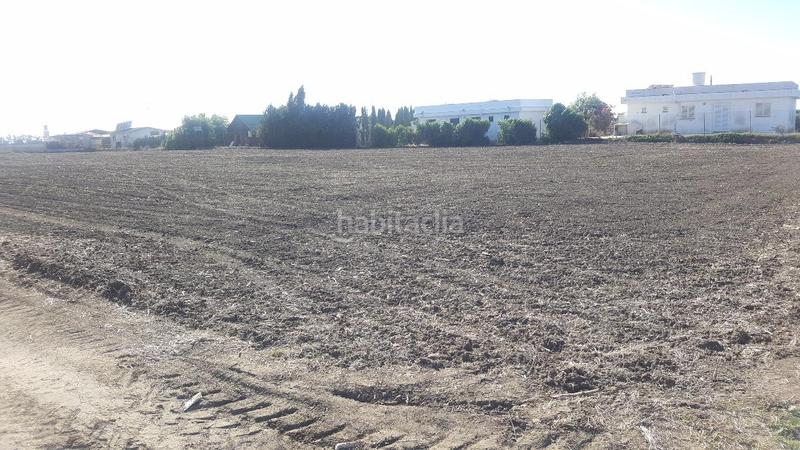 Foto d14dd609-af8c-4769-827f-c8dfe26f74a2. Fondo rustico in El Palmar Vejer de la Frontera