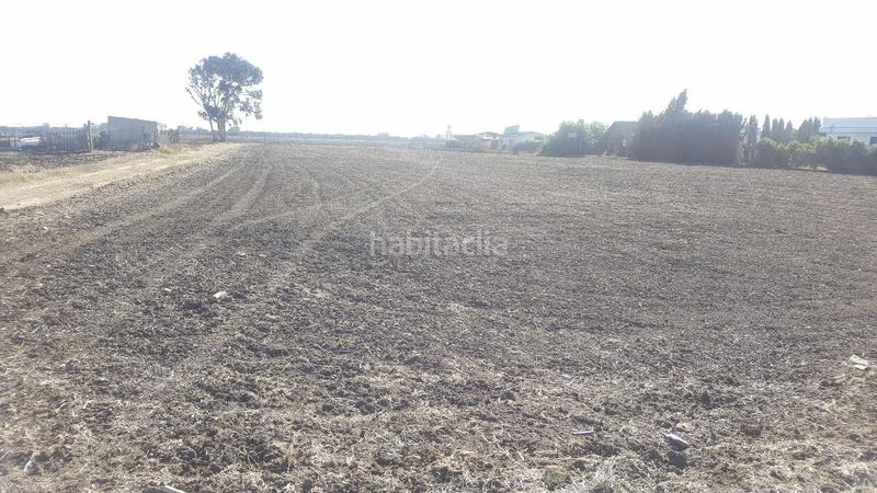 Foto e58e3fcf-3027-4059-8515-7edd875826c1. Fondo rustico in El Palmar Vejer de la Frontera