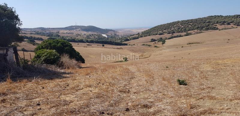 Foto 0c2e1351-4e19-4f80-900d-937013729bc1. Fondo rustico in Vejer Vejer de la Frontera
