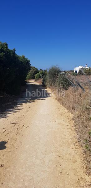 Foto 170e90cb-5f68-445f-a8b7-e5fc6873bde6. Fondo rustico in Vejer Vejer de la Frontera