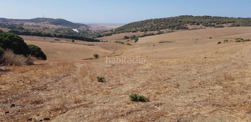 Foto a17f7881-00a7-4d48-a9c6-9202bd1ee582. Fondo rustico in Vejer Vejer de la Frontera
