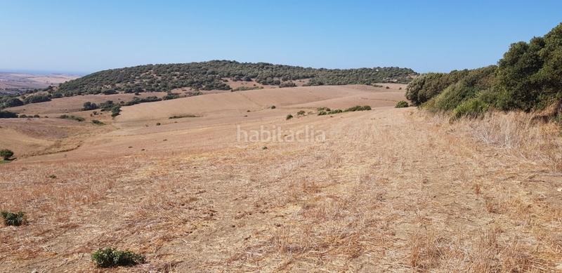Foto afa57b4e-2354-4be2-b293-4e541b305412. Fondo rustico in Vejer Vejer de la Frontera