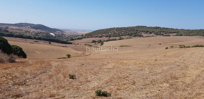 Foto c819cd9e-c732-4767-b36c-5498e5021803. Fondo rustico in Vejer Vejer de la Frontera