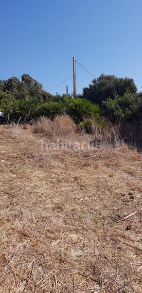 Foto dff9e79f-7481-4028-b6fa-88bb49598eed. Fondo rustico in Vejer Vejer de la Frontera