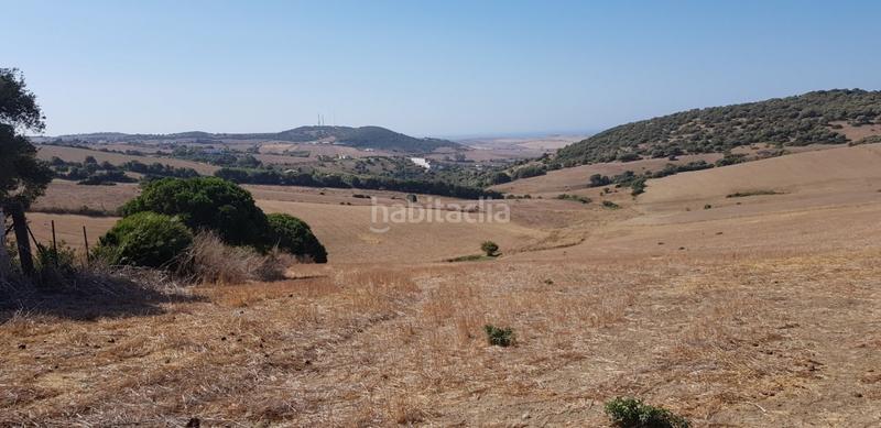 Foto ffe5fa38-9dbc-4e9c-a21a-79676eceedca. Fondo rustico in Vejer Vejer de la Frontera