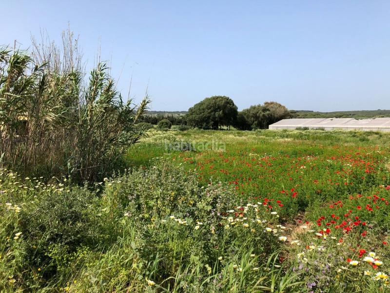 Foto 05b95da7-1c84-4585-aa44-72d622738899. Finca rústica bonita parcela rústica con invernadero en Barbate