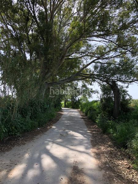 Foto 0ae82f73-9476-4913-b561-f5335e6abbbe. Finca rústica bonita parcela rústica con invernadero en Barbate