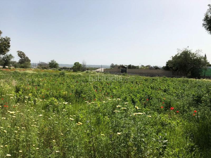 Foto 1347ec0c-c220-4956-acf6-8af02ba53048. Finca rústica bonita parcela rústica con invernadero en Barbate