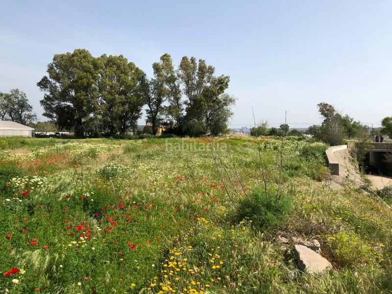 Foto 18ca077a-562c-4572-b0fe-10e6ef5bcc7b. Finca rústica bonita parcela rústica con invernadero en Barbate