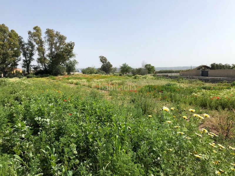 Foto 2469472b-7994-4f75-b693-aead8bbc798d. Finca rústica bonita parcela rústica con invernadero en Barbate