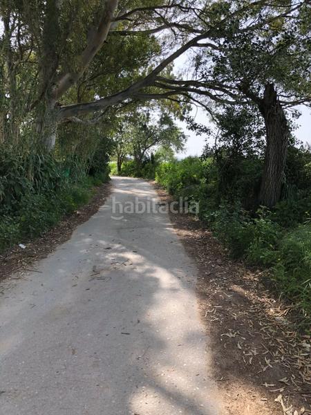 Foto 29aac2cd-a3f9-43c2-ae87-7b831ee85afc. Finca rústica bonita parcela rústica con invernadero en Barbate