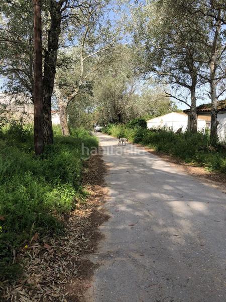 Foto 2d431879-cbec-48c5-ad68-37c0ee3e4e57. Finca rústica bonita parcela rústica con invernadero en Barbate