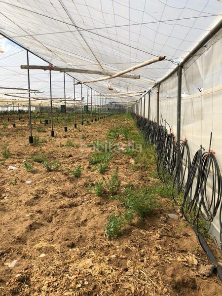 Foto 31a66f84-7c7e-4d05-a74d-77d9621f24e3. Finca rústica bonita parcela rústica con invernadero en Barbate