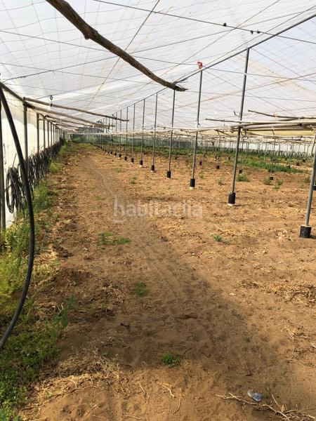 Foto 39dd0f9d-409f-492d-aa8d-ee7802f8ceeb. Finca rústica bonita parcela rústica con invernadero en Barbate