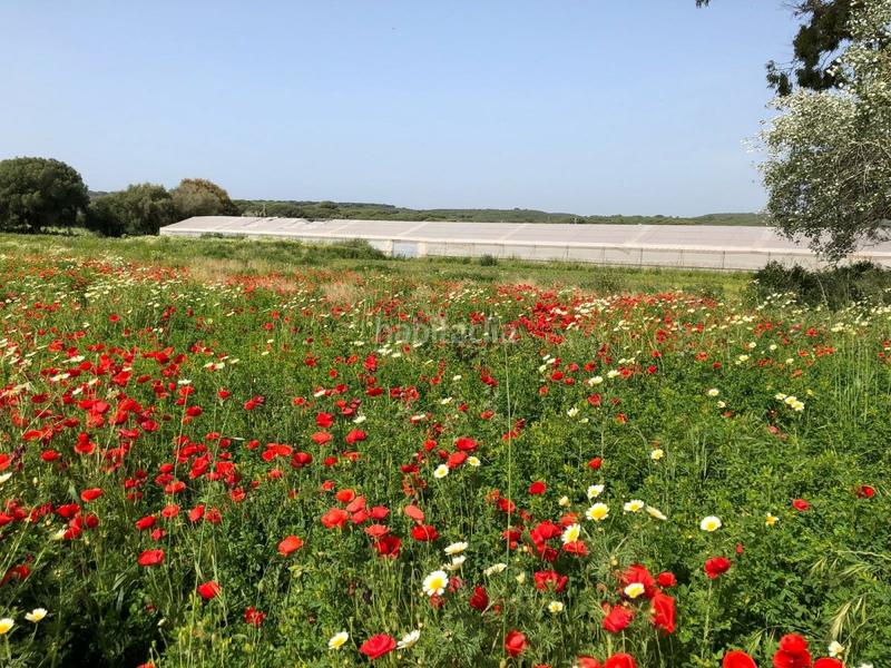 Foto 3c5b1463-c61c-49fc-b844-672acc11c093. Finca rústica bonita parcela rústica con invernadero en Barbate