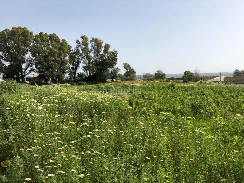 Foto 3ff2108a-bb2e-4acb-80d2-1f66b21aa22f. Finca rústica bonita parcela rústica con invernadero en Barbate