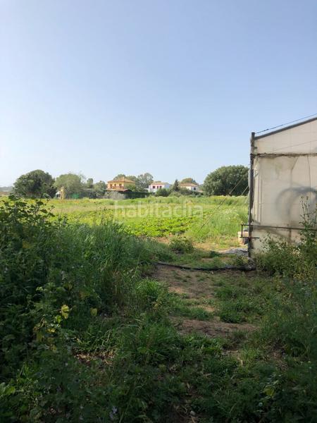 Foto 47475bbd-0504-4272-9dc6-f71ae24cda9b. Finca rústica bonita parcela rústica con invernadero en Barbate