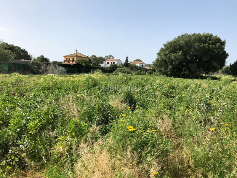 Foto 4d8af42c-6b14-47d4-93b4-0256b0117b36. Finca rústica bonita parcela rústica con invernadero en Barbate