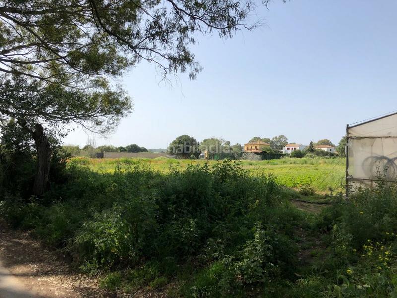 Foto 5bf65c03-9a10-49d6-8348-3b58268ef485. Finca rústica bonita parcela rústica con invernadero en Barbate