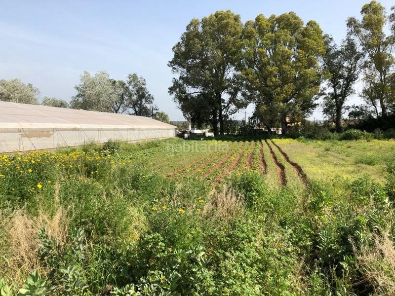 Foto 5fab7c4a-2f5e-4fe6-8673-2cdd28e2ea30. Finca rústica bonita parcela rústica con invernadero en Barbate