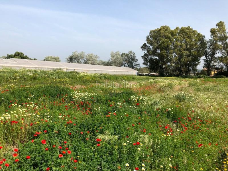 Foto 68a10687-a764-4308-9dbf-29a7a085a3ef. Finca rústica bonita parcela rústica con invernadero en Barbate
