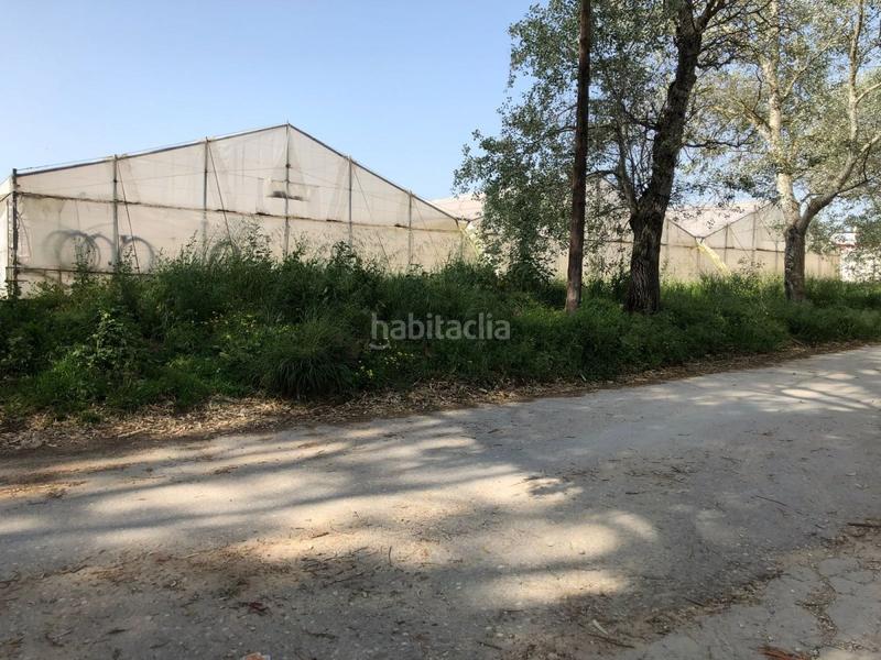 Foto 6f005707-097a-4027-9842-ba3a6d5b712a. Finca rústica bonita parcela rústica con invernadero en Barbate