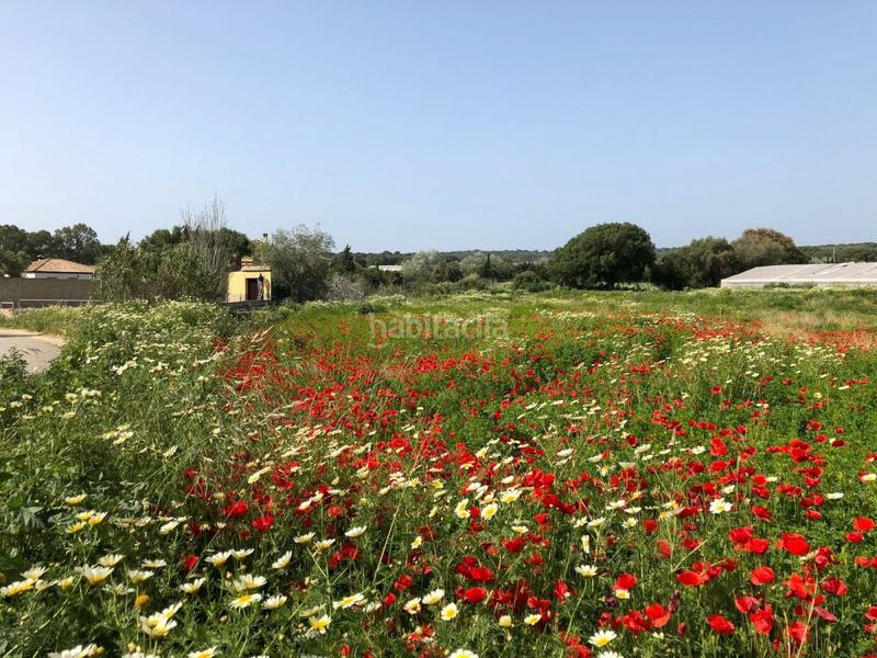 Foto 768991f8-dc25-45dd-8c6b-339d5101c508. Finca rústica bonita parcela rústica con invernadero en Barbate